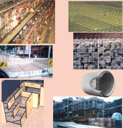 Welded Wire Mesh
