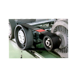 Timing Belts