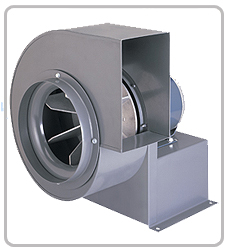 DOLPHIN BLOWERS