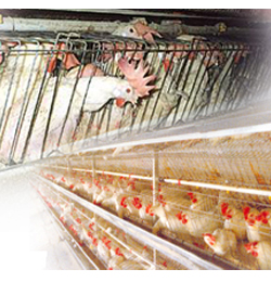 OMEGA WELDEDMESH CO.PVT.LTD.