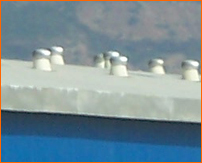 DOLPHIN BLOWERS